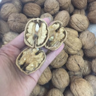[FLASHSALE] (500gr) Quả Óc Chó Hartley Mỹ