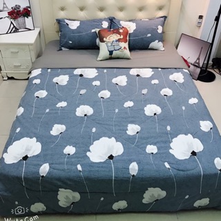 Set chăn ga gối chăn trần bông