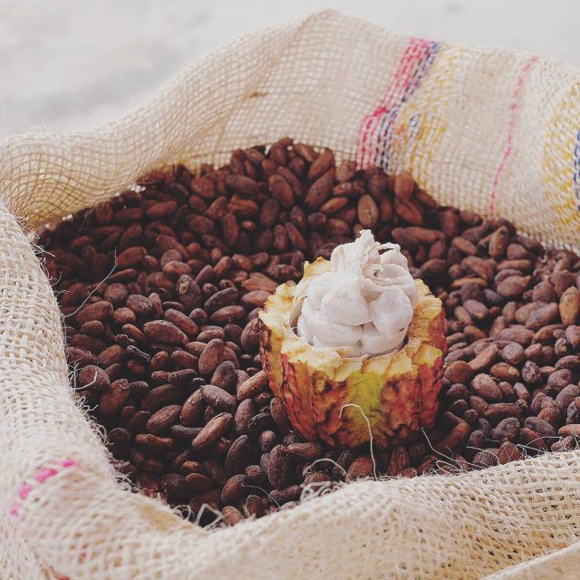 Bột cacao nguyên chất 100% không đường Heyday - Dòng Origin thượng hạng 100g - Chuẩn UTZ Quốc Tế | BigBuy360 - bigbuy360.vn