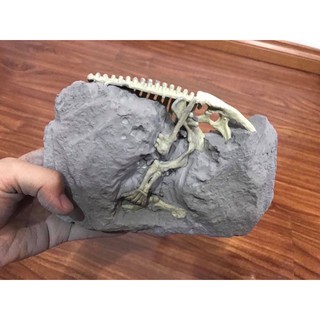 Bộ đồ chơi khảo cổ học - khủng long