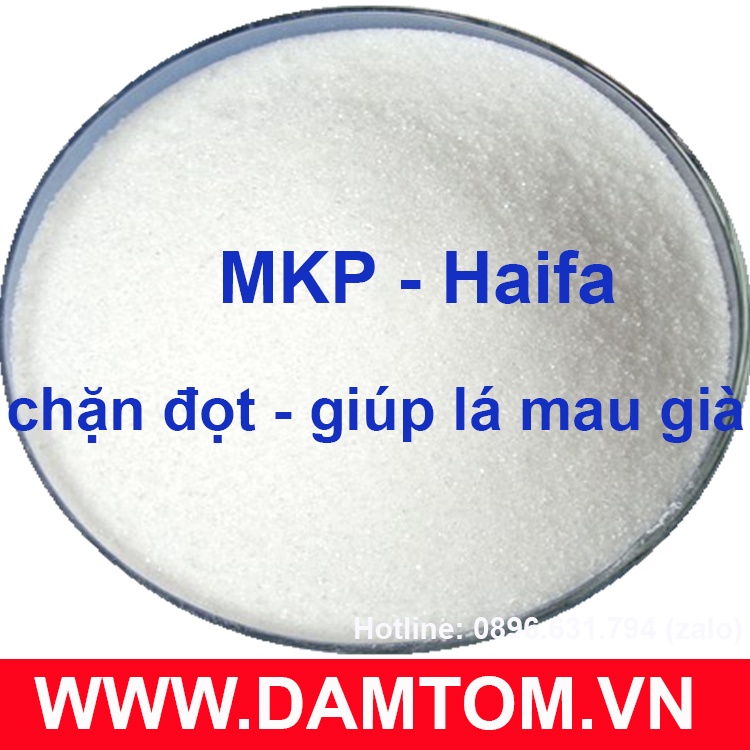 Gói 500 gam - phân bón MKP 0-52-34 Haifa - Israel KH2PO4 Kali dihidro photphat