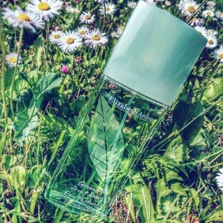 Nước hoa trà xanh Elizabeth Arden mua tại Hàn Quốc