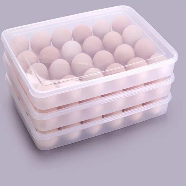 Khay Đựng Trứng EGGS STOREa 24 Ô Siêu To Chất Liệu Nhựa Cao Cấp, Giá tháng  11/2020