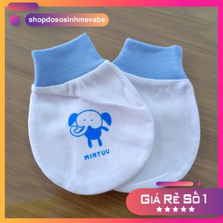 Combo 5 Set BAO TAY sơ sinh TRẮNG cổ bo Mintuu (1 đôi)