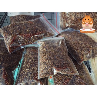 Sâu rang cho Hamster ( Bịch lớn 40gr )