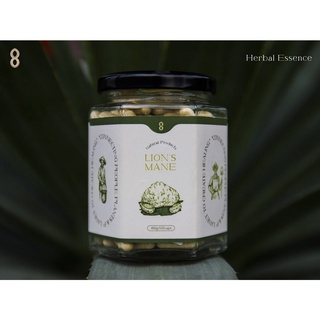 NẤM HẦU THỦ-LION'S MANE