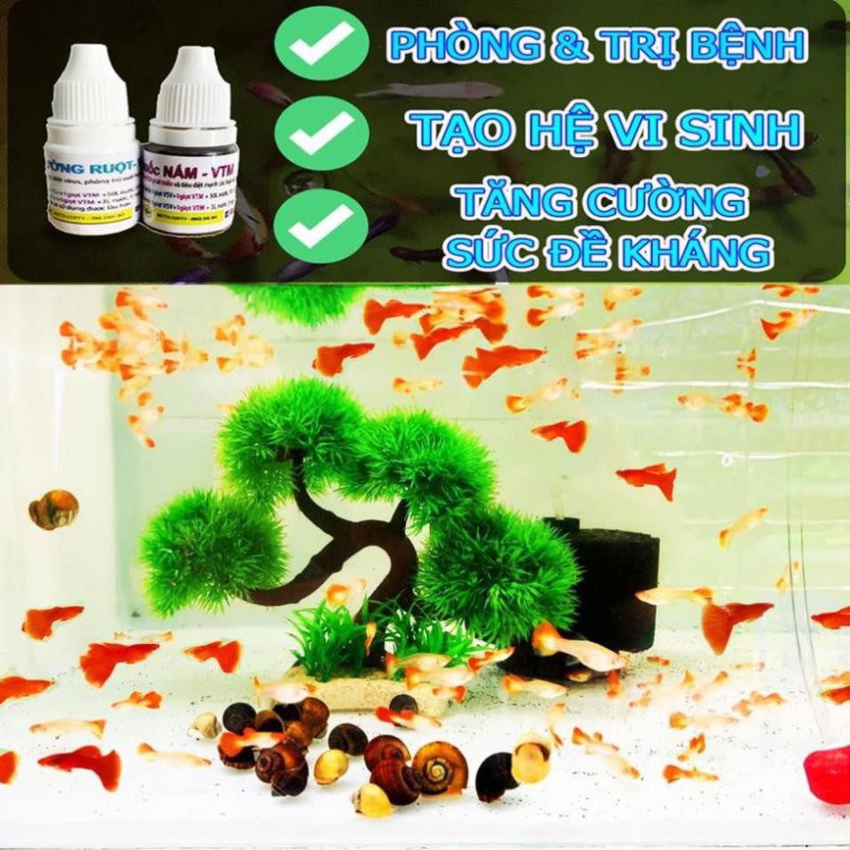 Dung dịch Stress Coat - Chống sốc cho cá