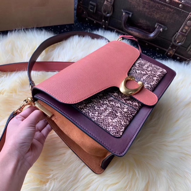 🔥TÚI COACH TABBY DA