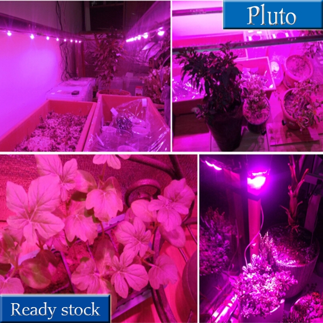 15W/20W/30W/50W LED COB Full Spectrum Plant Growth Lamp 380-840nm