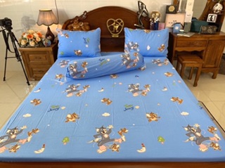 Drap cotton Hàn Quốc