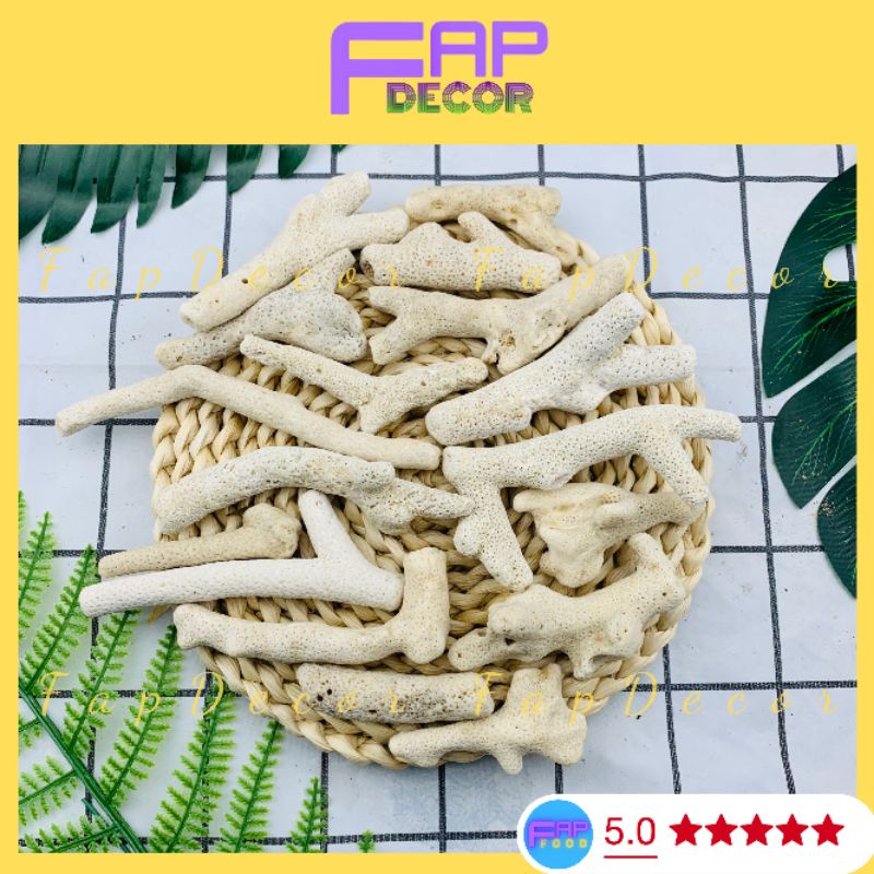 San Hô Lọc Nước Hồ Cá, San Hô Tăng Độ PH Trong Nước Cho Bể Cá - FapFood