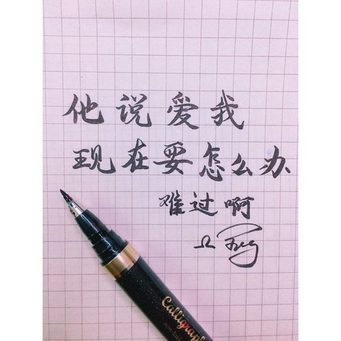 Bút lông dạ Viết Chữ HÁN Tiếng Trung Thư Pháp- GNA