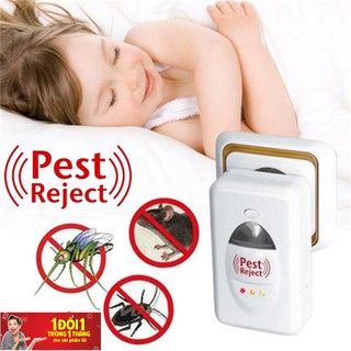 Máy Pest Reject Đuổi Muỗi ,Kiến,Gián, Chuột,