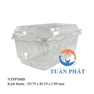 Bộ 50 hộp nhựa đựng trái cây NTP P500B