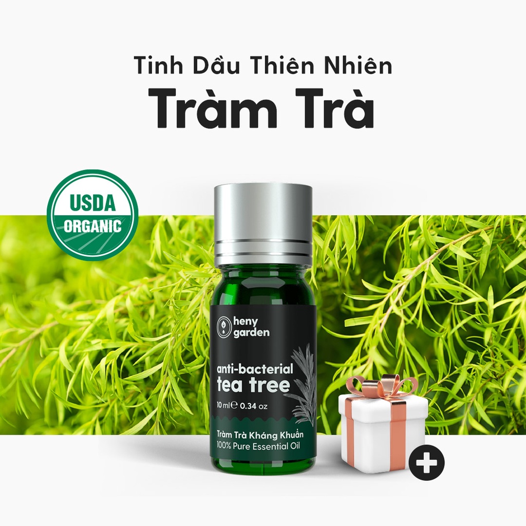 Tinh Dầu Tràm Trà Organic Nguyên Chất Đậm Đặc Xông Thơm Phòng, Làm Nến Thơm Thiên Nhiên, Giúp Dễ Ngủ Heny Garden 10mL