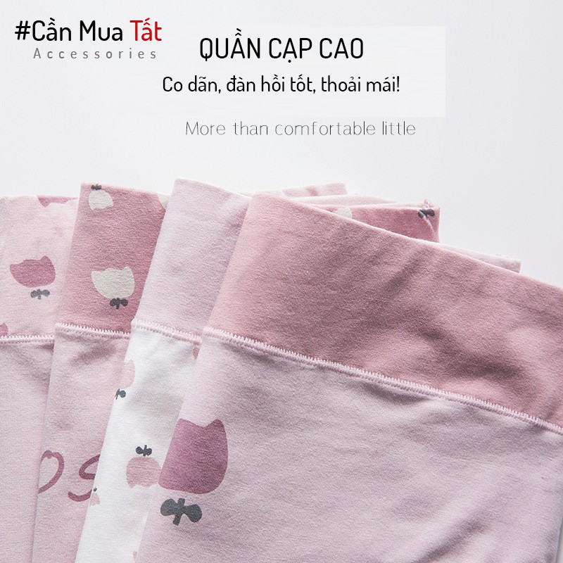 Quần lót ROSE kháng khuẩn cao cấp co dãn thoải mái thoáng khí