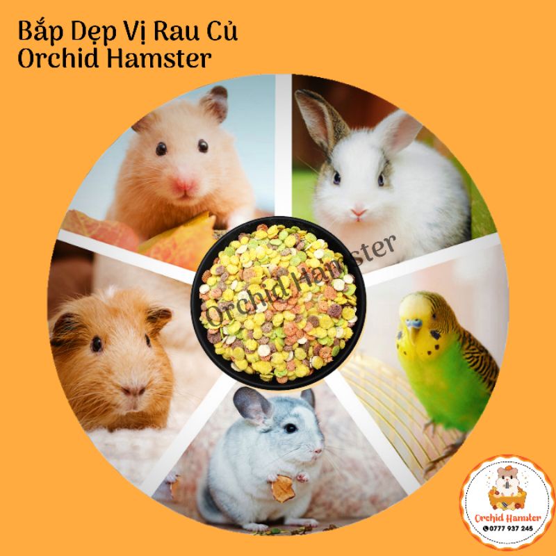 Bắp Dẹp Cho Hamster