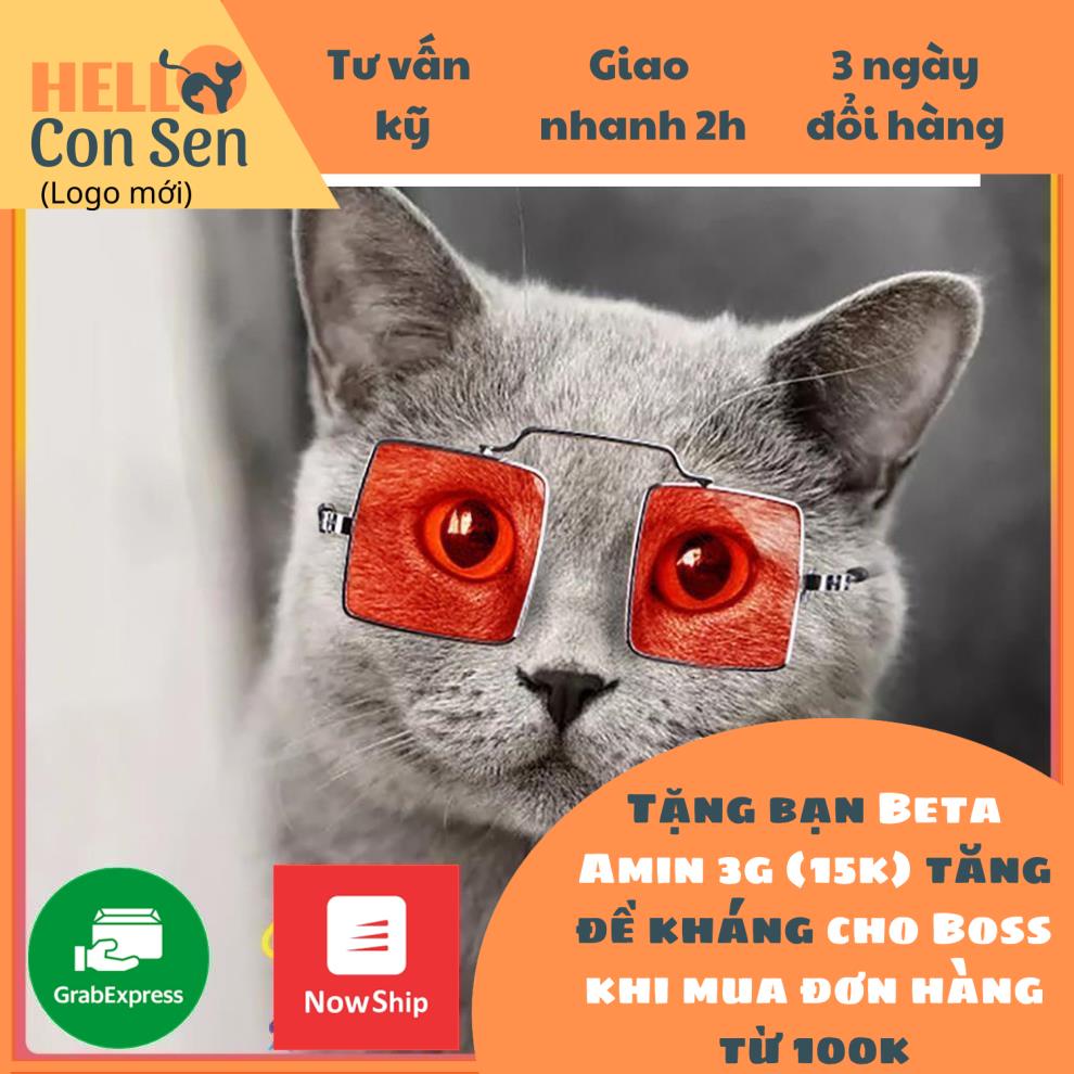 Kính Mát Gọng Vuông Cho chó mèo, thú cưng sành điệu thời trang