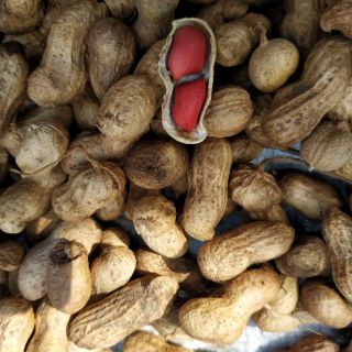 Lạc đỏ - Hà Giang - 1kg