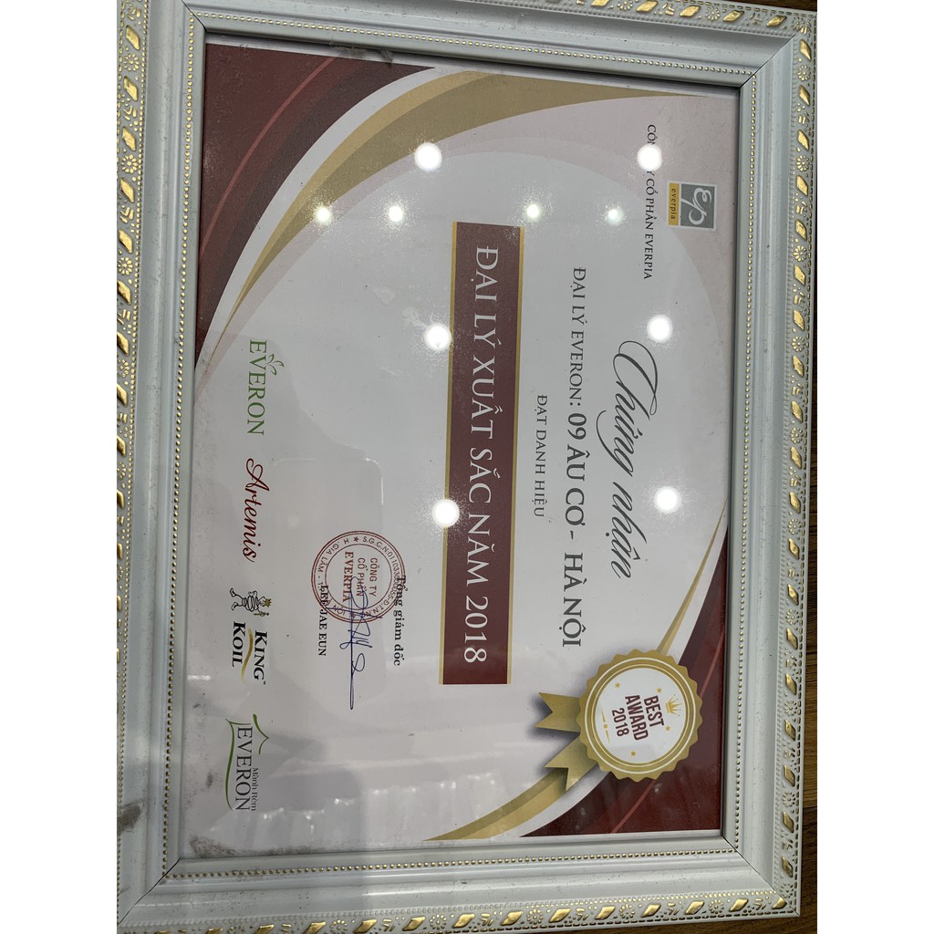 Ruột chăn Everon chính hãng