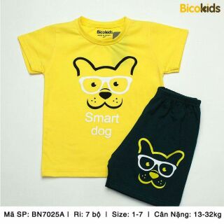 Combo 3 bộ bé trai bất kì