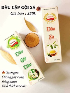 Bộ dầu gội + dầu xả tóc