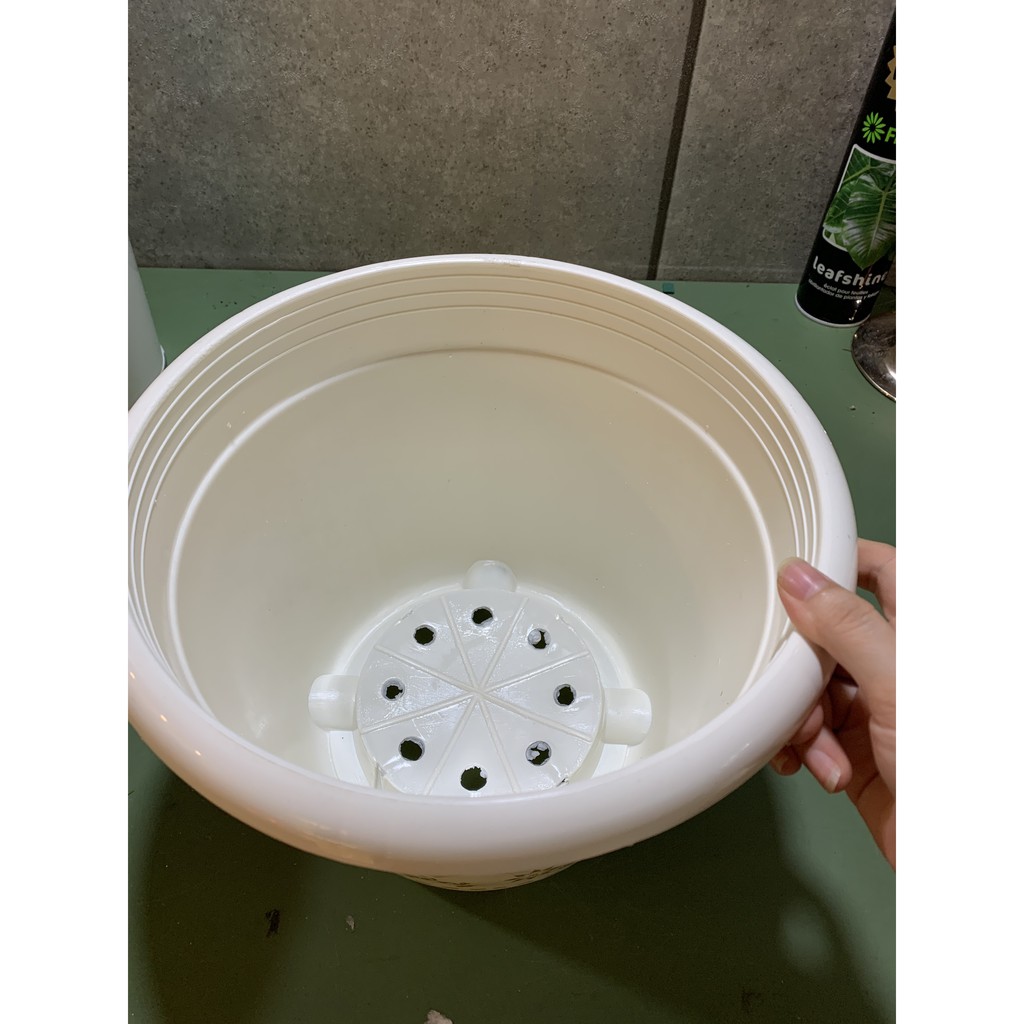 Chậu nhựa Cát Tường 28x21 (cm) trắng nhũ vàng nhựa cứng !