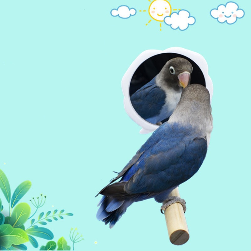 Giá Đứng Đồ Chơi Dành Cho Vẹt