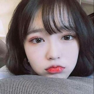 LENS GRAY (Tặng Nước Ngâm+Khay Đơn)
