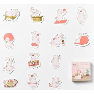 {Khác ~ Có sẵn/ Order} Phụ kiện trang trí: Set 45 sticker "Lose weight daily"/ Hình dán