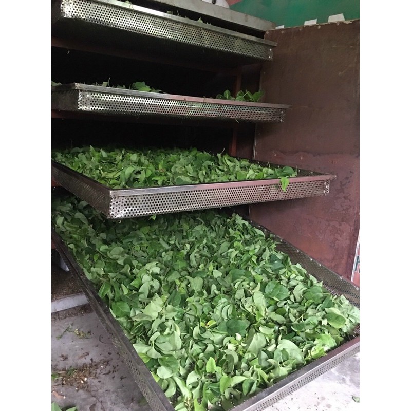 lá giang thiên nhiên sấy khô túi giấy 50g - thơm lừng | BigBuy360 - bigbuy360.vn