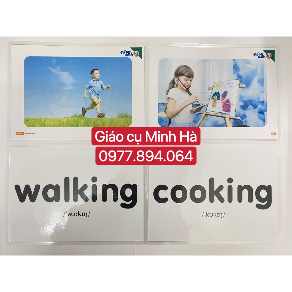 Flashcards Tiếng Anh Global Success 3 - BDG mới nhất 2022- 183 thẻ ép plastic