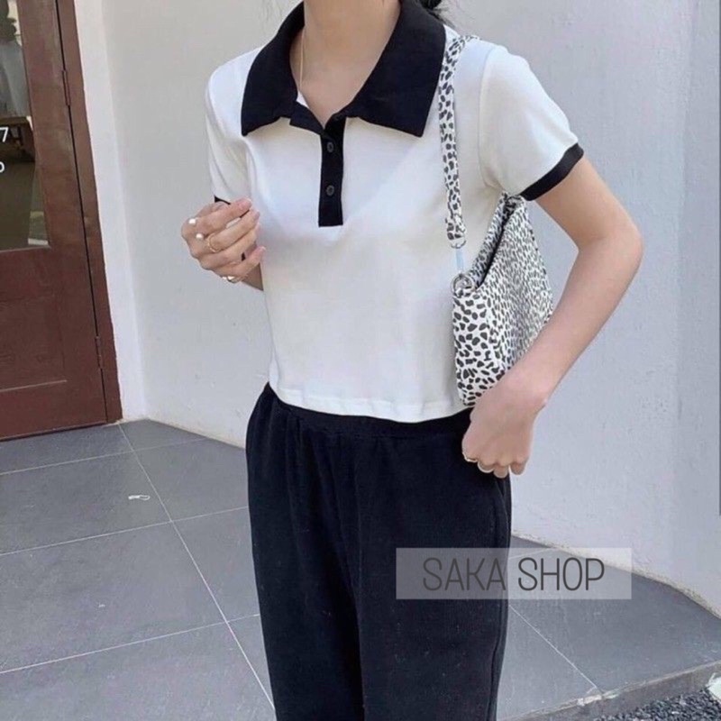 Áo thun nữ tay ngắn cổ sơ mi phối màu dễ thương