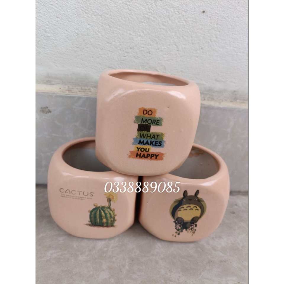 Chậu sứ bát tràng hộp vuông in hình cute trồng xương rồng, sen đá, derco siêu đẹp.