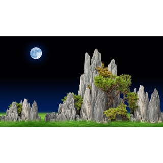 Tranh phông nền dán hồ cá HD Cảnh hòn non bộ HAqua_055 KT 107 x 60 cm