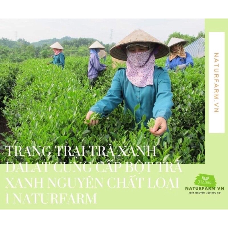 100gr bột trà xanh matcha nguyen chất oganic đắp mặt