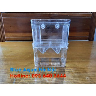 Lồng ép cá đẻ, dưỡng cá con, tép cảnh,cá bảy màu và các loại cá thủy sinh khác - Lồng đơn - Size nhỏ