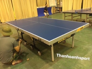 Bàn Bóng Bàn Double Fish DF-233