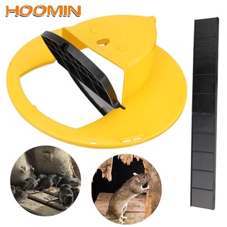 Bẫy chuột hiệu quả