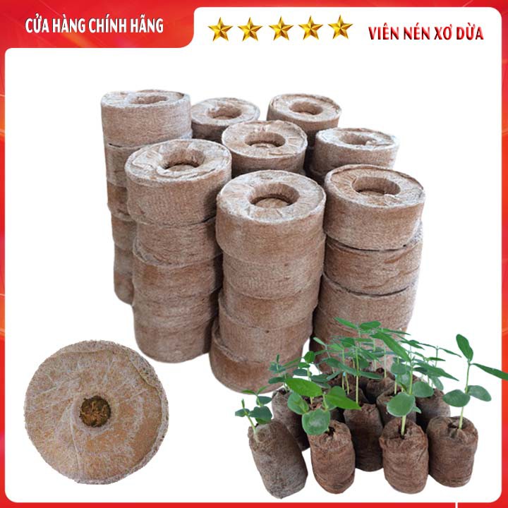 100 VIÊN NÉN XƠ DỪA Ươm Hạt Và Cây Giống Tiện Lợi