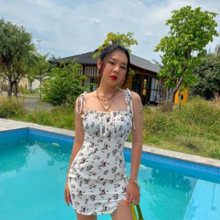 ĐẦM HOA NHÍ BO NGỰC