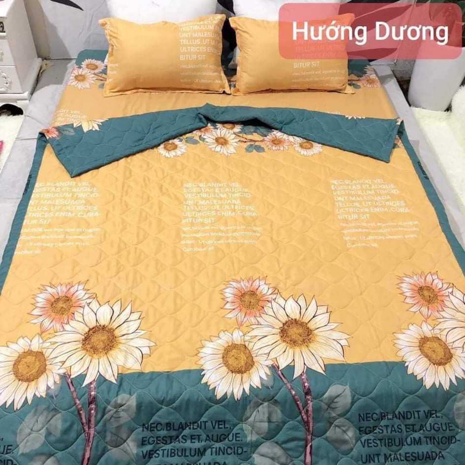 Ga trải giường cotton poly cao cấp