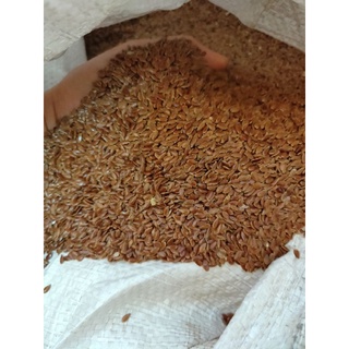 500gr hạt lanh nâu canada