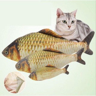 Đồ chơi cho mèo - Cá catnip