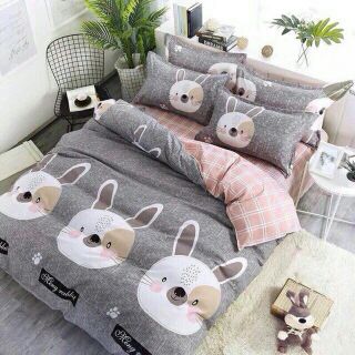 🎁🎁🎁🎁chăn ga polly cotton san hàng ạ