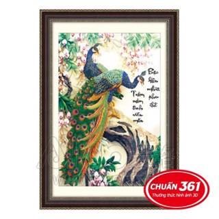Tranh thêu chữ thập 3d Phu thê viên mãn AL53280 (63x80) chưa thêu