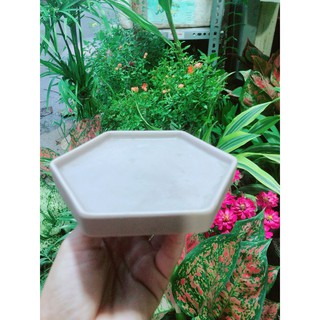 Đĩa Lót Chậu (đường kính 12cm)