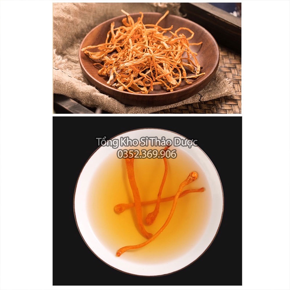 Đông trùng hạ thảo thượng hạng 1kg (Trà đông trùng bồi bổ sức khỏe,dưỡng nhan)