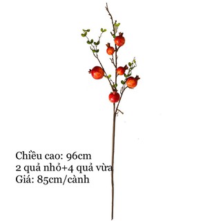 Cành lựu giả quả trung bình - Cây lựu