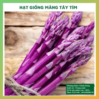 Hạt giống măng tây tím ngon ngọt rau củ quả trồng chậu chịu nhiệt 4 mùa tỉ lệ nảy mầm cao 0,5gr
